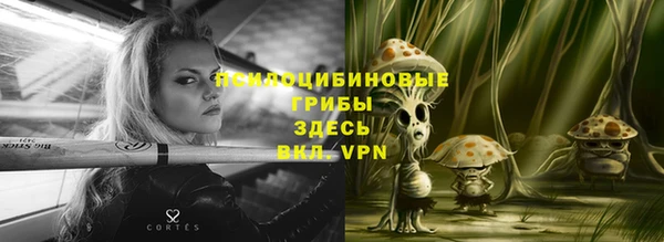 стафф Алексеевка