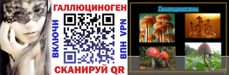 Галлюциногенные грибы Psilocybe где купить наркоту Урюпинск